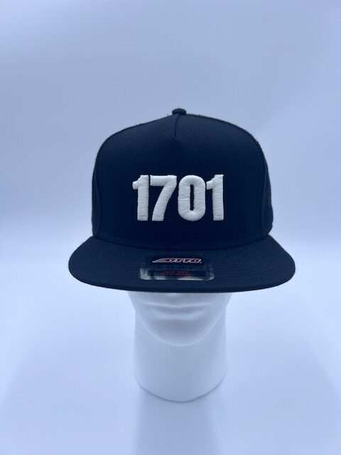 1701 glow in the dark Snapback blue hat